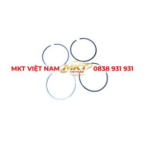 bạc xéc măng Hino 700 17-24 tấn